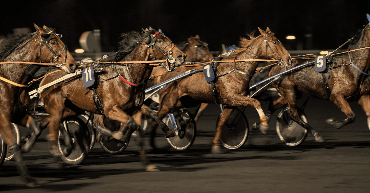 Klart for Eliteloppet 2020