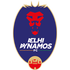 Delhi Dynamos FC