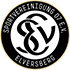 SV Elversberg